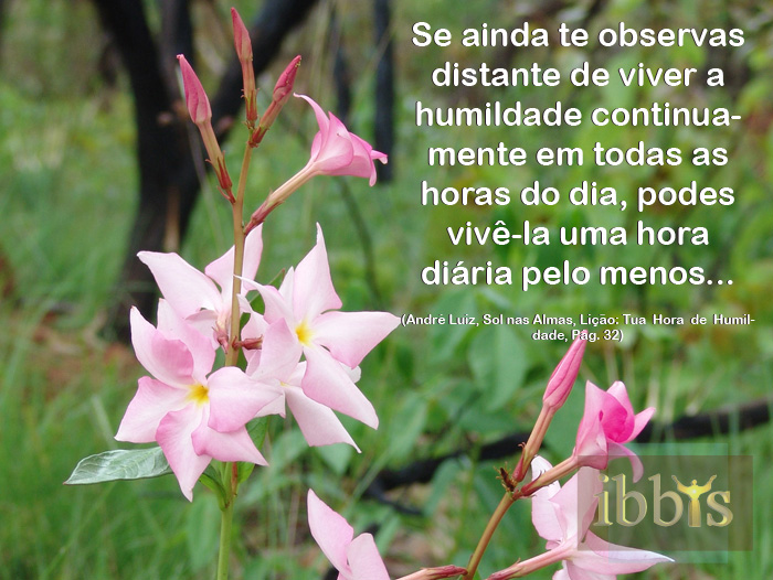 humildade_9